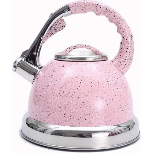 Kitchen Stainless Steel Coffee Teapot Induction Whistle Tea Kettle Stove Tops 3.5L