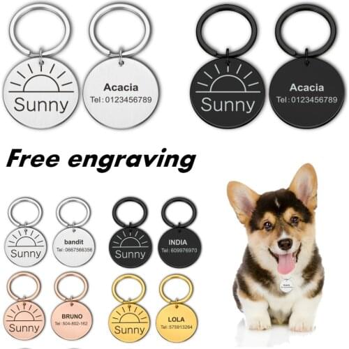 Personalized Pet Cat Dog ID Tag Collar Accessories Custom Engraved Necklace Chain Charm Supplies For Dog Tag Name Products