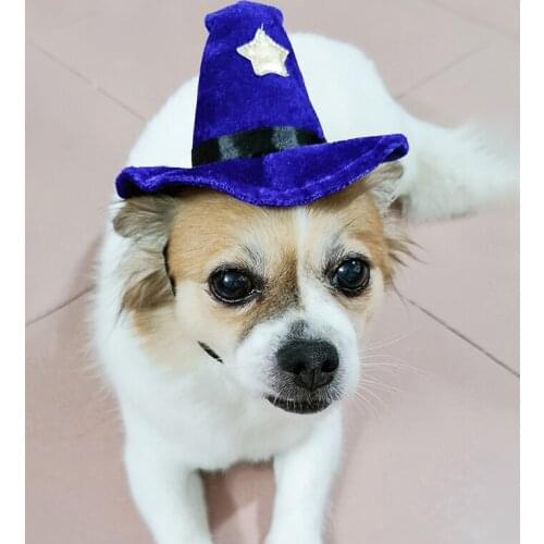 Pet Supplies Funny Halloween Hats Green-Haired Dogs and Cat Clothes Soft and Breathable Easy to Clean Dog Supplies Pet Products