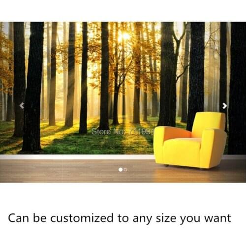 Free shipping to customize large murals Breaking Sun Forest Wallpaper Mural