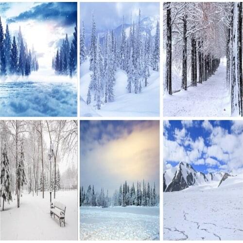 Vinyl Custom Photography Backdrops Prop Snow scene Photography Background 2021112XJ-02