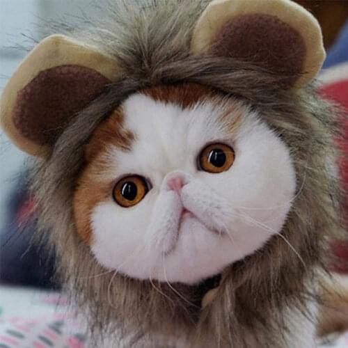 Designer Hat for a Cat Lion Head Shaped Fluffy Animal Cute Pet Accessories S/M/L Small Dog Costume Hat Birthday Gift Product