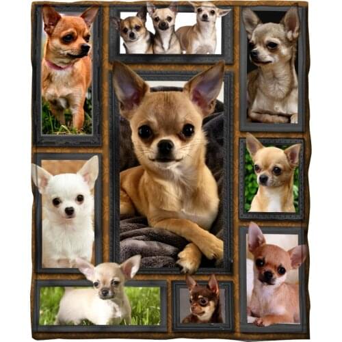 2021 Chihuahua Fleece Blanket 3D full printed Wearable Blanket Adults/kids Fleece Blanket Sherpa Blanket Drop Shippng
