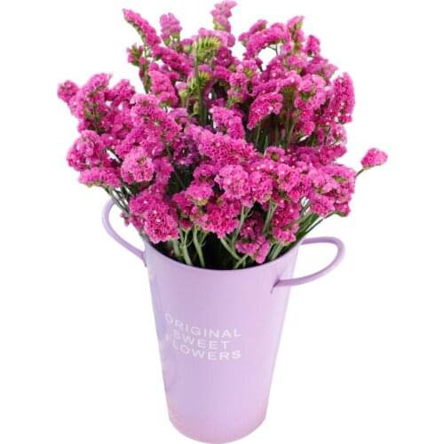 20pcsdried forget-me-not flower bouquet natural plants christmas wedding decoration flowers arrangement No Vase