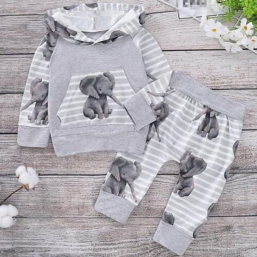 Cartoon Elephant Kids Clothes For Baby Boy Set 2020 Autumn Toddler Boy Clothing For 0-2 Year Long Sleeve Infant Hoodies Suit D20