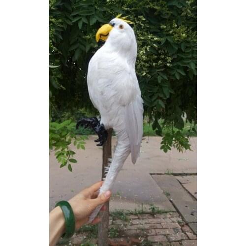 Simulation white feathers parrot 43cm model toy,polyethylene&furs feathers parrot toy 1523