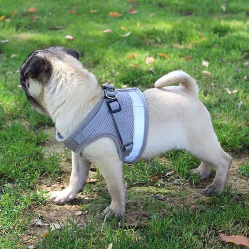 Puppy Chest Strap Reflective Safety Pet Dog Harness And Leash Set Pug Chihuahua Bulldog Harnesses Dog Vest For Small Medium Dogs