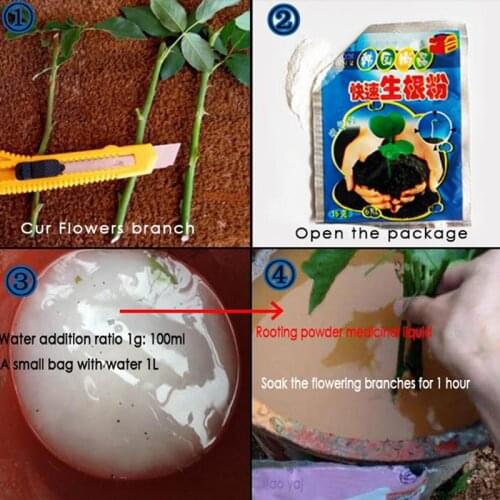 JETTING Complex Fertilizers China