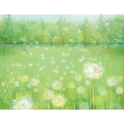Custom digital Spring green photobackground natural scenic dandelion studio backdrops,fantasy vinyl background backdrop wedding