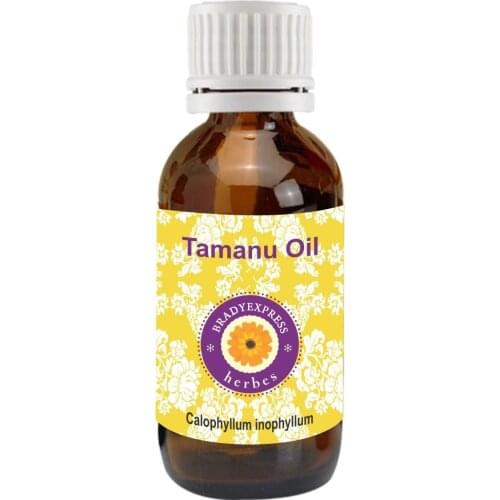 FRee Shipping Pure Tamanu Oil Calophyllum inophyllum 100% Natural Cold Pressed Therapeutic G 5ML