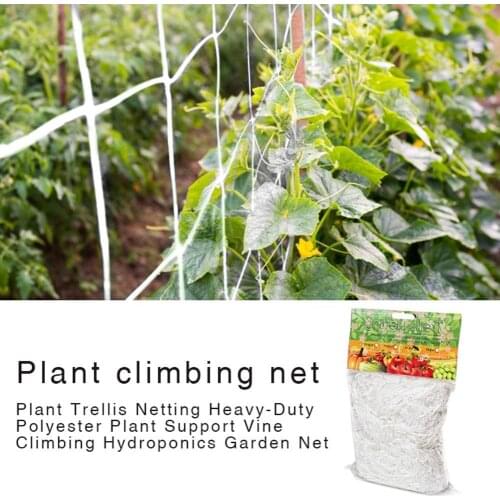 5/10m Morning Glory Cucumber Flower Vine Home Garden Plants Climbing Growth Mesh Net Supplies