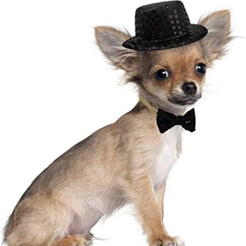 Funny Pet Hat Fancy Jazz Hat Headgear Costume Accessories Photo Props For Cat Dog Puppy Pet Hat Cap Cosplay Costumes