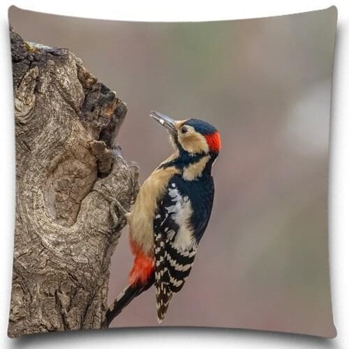 A bird on the stump Series Cotton polyester Custom Animal Square Throw Pillow Cases kids Gift for sofa car chair 5 size 9 style