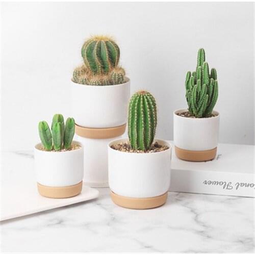 Round Green Plant Cactus Succulent Plants Flower Containers Indoor With Drainage Hole Orchid Pots Ceramic Flower Pot