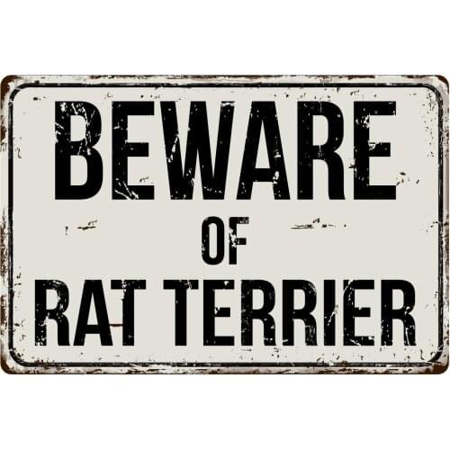 477VS Beware of Rat Terrier 8 x 12 Vintage Aluminum Retro Metal Sign