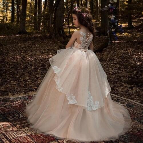 Flower Girl Dresses V-neck Sheer Back Ball Gown Lace Appliques Sleeveless Girls Holy First Communion Gowns