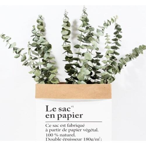 Natural Dried Flowers Eucalyptus Branches Large Size Decor Flowers Flowers Immortal Leaf Fresh Home Eucalyptus Forever Part I2D0