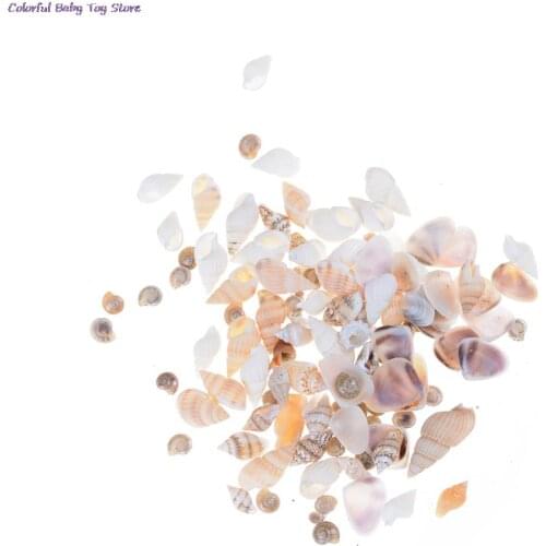 40Pcs/bag 1:12 Mini Miniature Doll House Sea Shell Bonsai Lanscape DIY Decor Dolls Garden Accessories