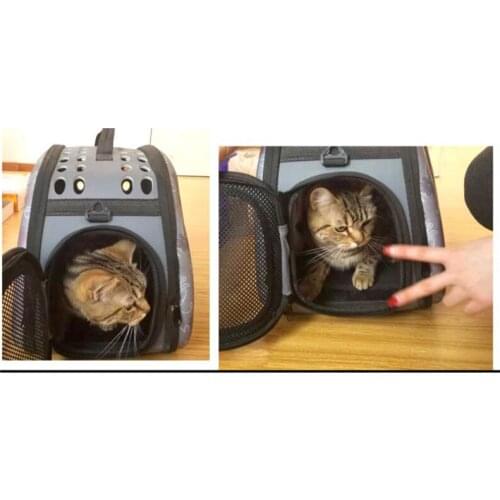 Pet Backpack S / M / L Portable Pet Backpack Eva Bag Dog Cat Tote Bag Cage Bag Kennel Foldable Pet Box Bracket