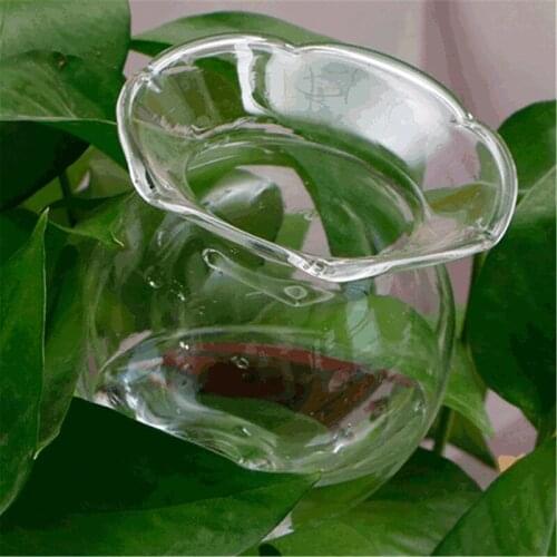 Heart-shaped Glass Plant Flowers Water Feeder Automatic Self Watering Devices