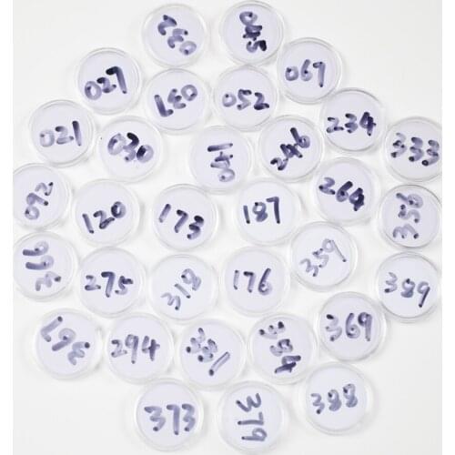 Animal Crossing Card (061 to 090) NFC 215 Card Work for NS Games Series 1