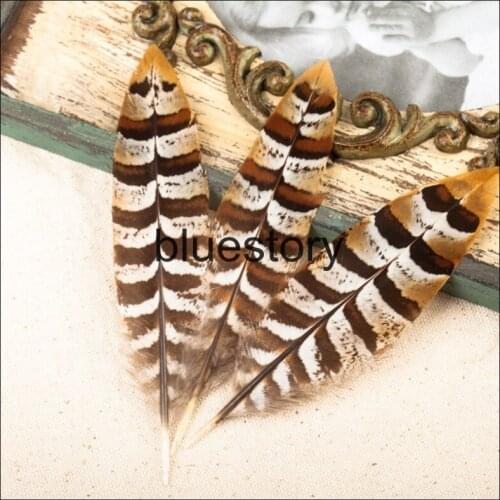 Natural pheasant feather 10-50cm Reeves pheasant tail feather Lady Amhurst pheasant feathers