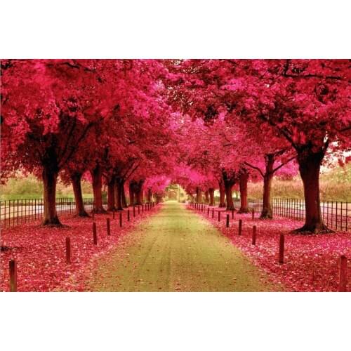 Autumn park The wooden puzzle 520 pieces ersion jigsaw puzzle white card adult childrens educational toys