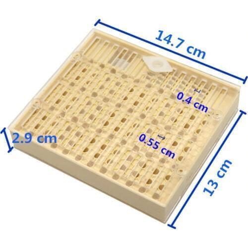 1 Pcs Beekeeping Equipment Tools Rearing Queen Bee Plastic Box Cage For Professional Beekeeper Apiculture Supplier