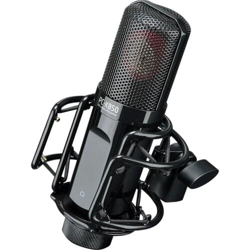 Takstar PC-K850 side address recording microphone for live broadcast and instrument recording,with Aluminum suitcase