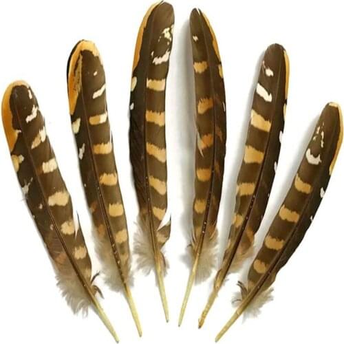 10pcs Natural Pheasant Feathers for crafts Diy Dream Catcher Turkey Pluma Wedding Needlework Decoration Accessories plumes3-40CM