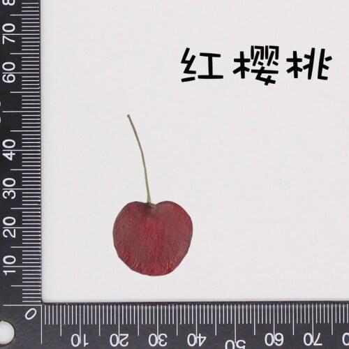 5pcs Dried Pressed Red Cherry Slices Plant Herbarium For Jewelry Photo Frame Phone Case Bookmark Postcard Invitation Card DIY