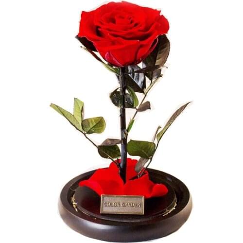 Preserved Fresh Flower Gift Box Little Prince Rose Glass Cover for Girlfriend Birthday Mother Valentines Day Gift Dried Bouquet