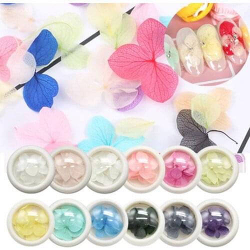 Dried Flowers Nail Art Decoration DIY Floral Manicure Nail Tip 3D Decor Delicate Real Flowers Nails Accesorios -VL16