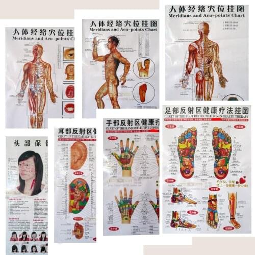 7Pcs English Hand Foot Ear body reflective zones meridian points human wall chart female /male acupuncture massage map flipchart