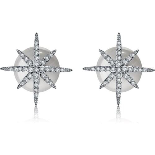 2021NEW earrings Europe Crystals from Austrian tassel Earring With Charm for Women Gift Fine jewelry