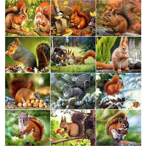 AZQSD DIY Painting By Number Canvas Kits Animal Handpainted Gift 40x50cm Adult Pictures By Numbers Squirrel Decor For Home