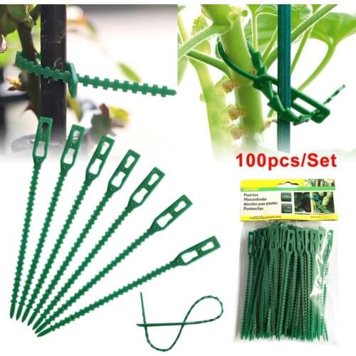 100pcs Green Gardening Vine Climbing Plants Cable Tie Lines Plant Brackets Parts Bonsai Flower Cucumber Grape Rattan Supports