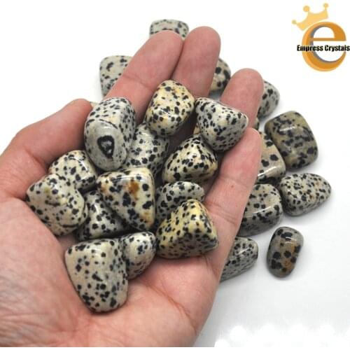 Natural Dalmation Jasper Crystal Tumbled Bulk Healing Mineral Specime Gemstones Gem Raw Aquarium Decoration Gift