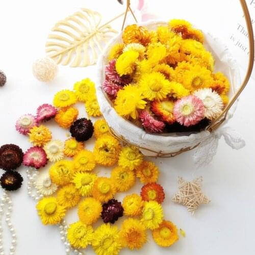 50Pcs Real Dried Flower Dry Plants For Aromatherapy Candle Epoxy Resin Pendant Candle Making DIY Candle Aromatherapy Accessories