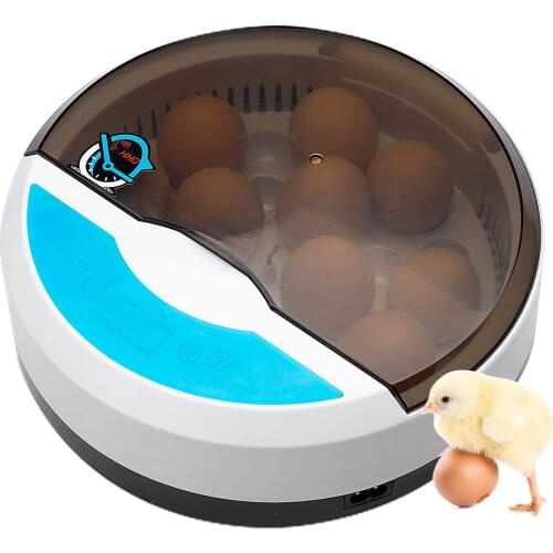 220V/110V Eggs Incubator Brooder Bird Quail Chick Hatchery Incubator Poultry Hatcher Turner Automatic Farm Incubation Tools