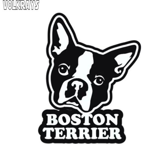 Volkrays Creative Car Sticker Boston Terrier Accessories Reflective Waterproof Cover Scratches Sunscreen Vinyl Decal,11cm*8cm