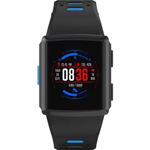 Car GPS Trackers RAYOID China