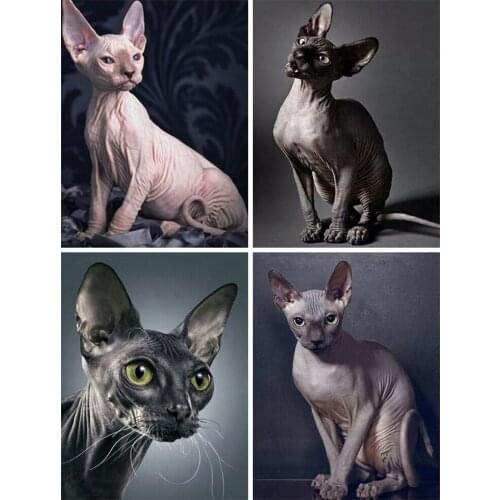Diy 5D Art Diamond Painting Special Animals Hairless Cat Full Square Round Drill Embroidery Cross Stitch Kit Painting Wall Decor