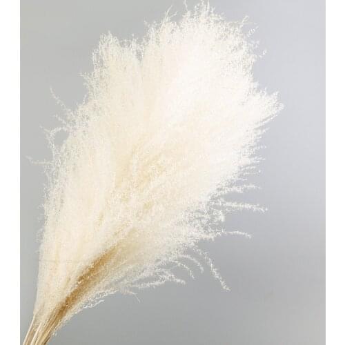 10Pcs/lot Small Reed Dried Flower Bouquet Pampas Grass Wedding Decoration Road Leads Home Decoration Accessories