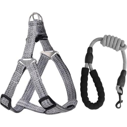 Small Dog Cat Harness Leash Adjustable Vest Collar Puppy Outdoor Walking Chihuahua Terier Schnauze