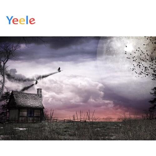 Halloween Backdrop Bat Moon Night House Witch Baby Portrait Backdrops Backgrounds Vinyl Photography Background For Photo Studio