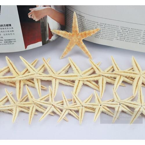 HappyKiss20Pc 6-8cm BIG Natural Starfish Wishing Bottle Sea Star Home Decoration Wall Stickers Adornment Organic Material