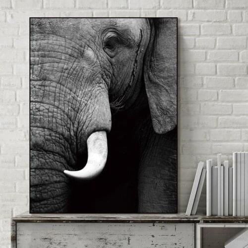 Elephant 5d diy diamond painting Full square round drill diamond embroidery cross stitch black white canvas painting wall art