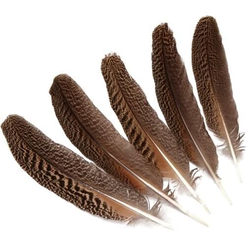 Wholesale 10Pcs/Lot natural real owl eagle feathers 25-40CM 10-16" Pheasant feather For Crafts Wedding decoration plumes plumas
