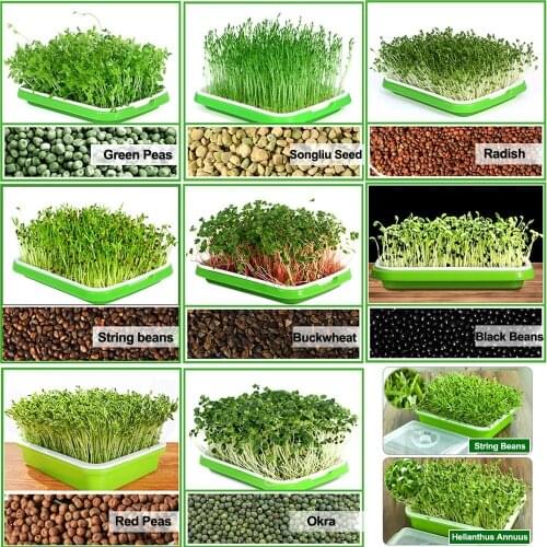 Bean Sprouts Double-layer Dishes Plate Seedling Tray Plastic Hydroponic Flower Basket Flower Plant Home Garden Nursery Pots